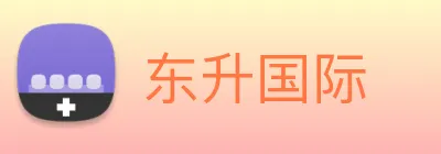 东升国际 logo